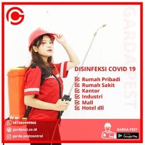 Jasa Disinfektan Sekolah di Kebagusan Jakarta