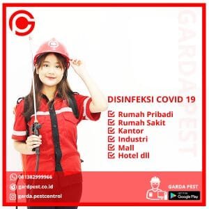 Jasa Disinfektan Makassar