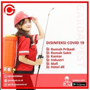 Jasa Disinfektan di Cirebon