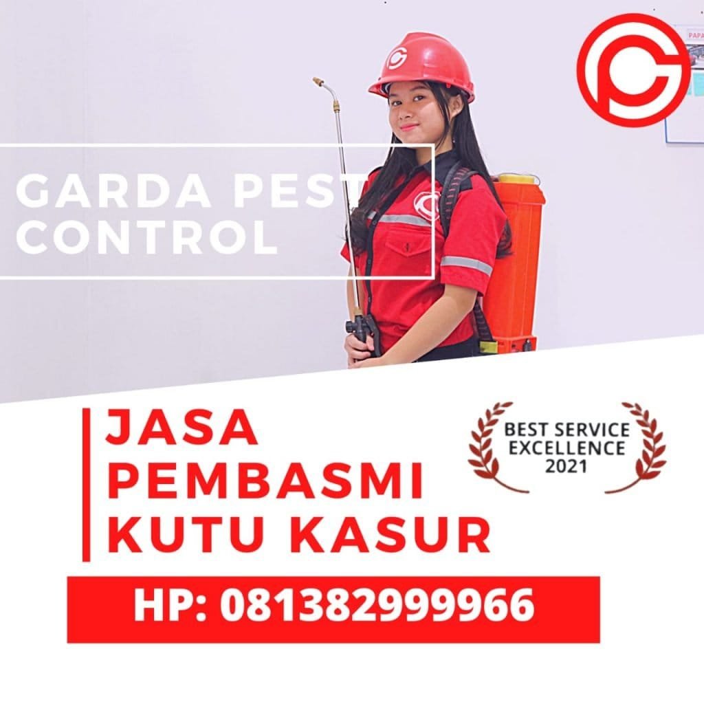 Jasa Pembasmi Tinggi di Solo