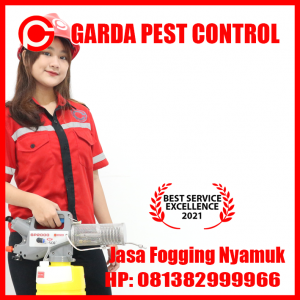 Jasa Fogging pph 23