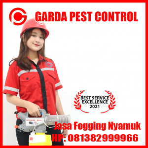 Jasa Fogging Murah