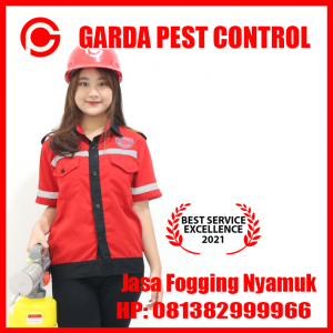 Jasa Fogging Denpasar