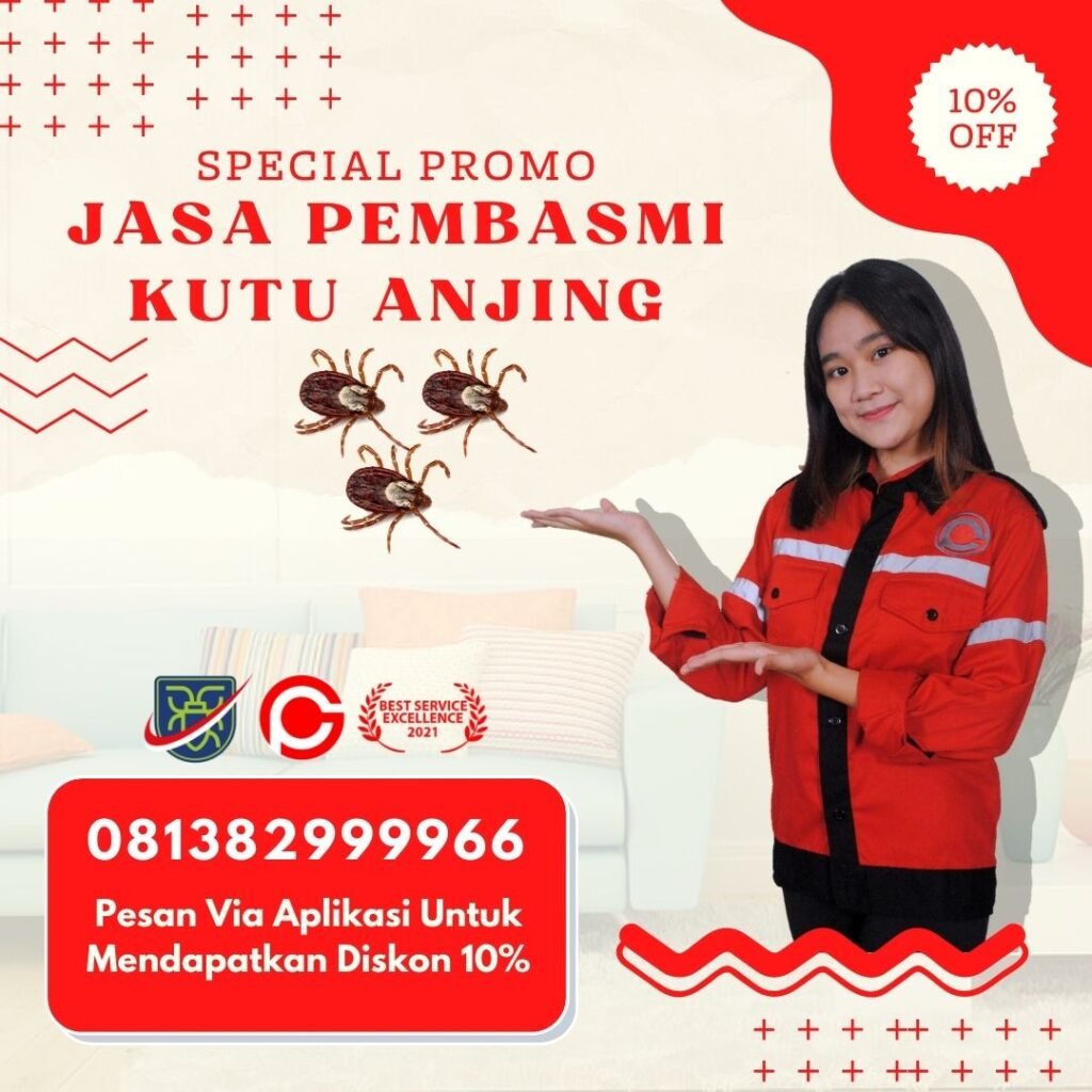 Jasa Pembasmi Kutu Anjing Ungaran