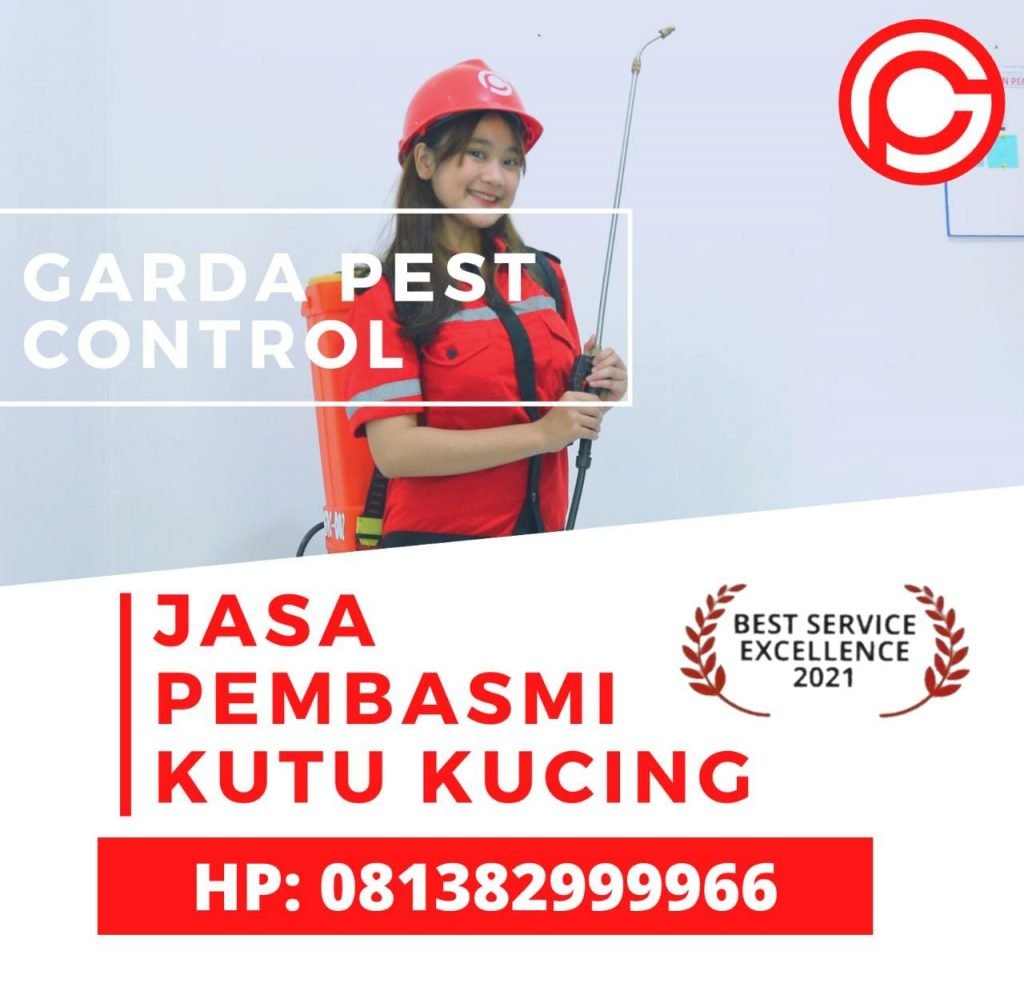 Jasa Pembasmi Kutu Anjing di Solo