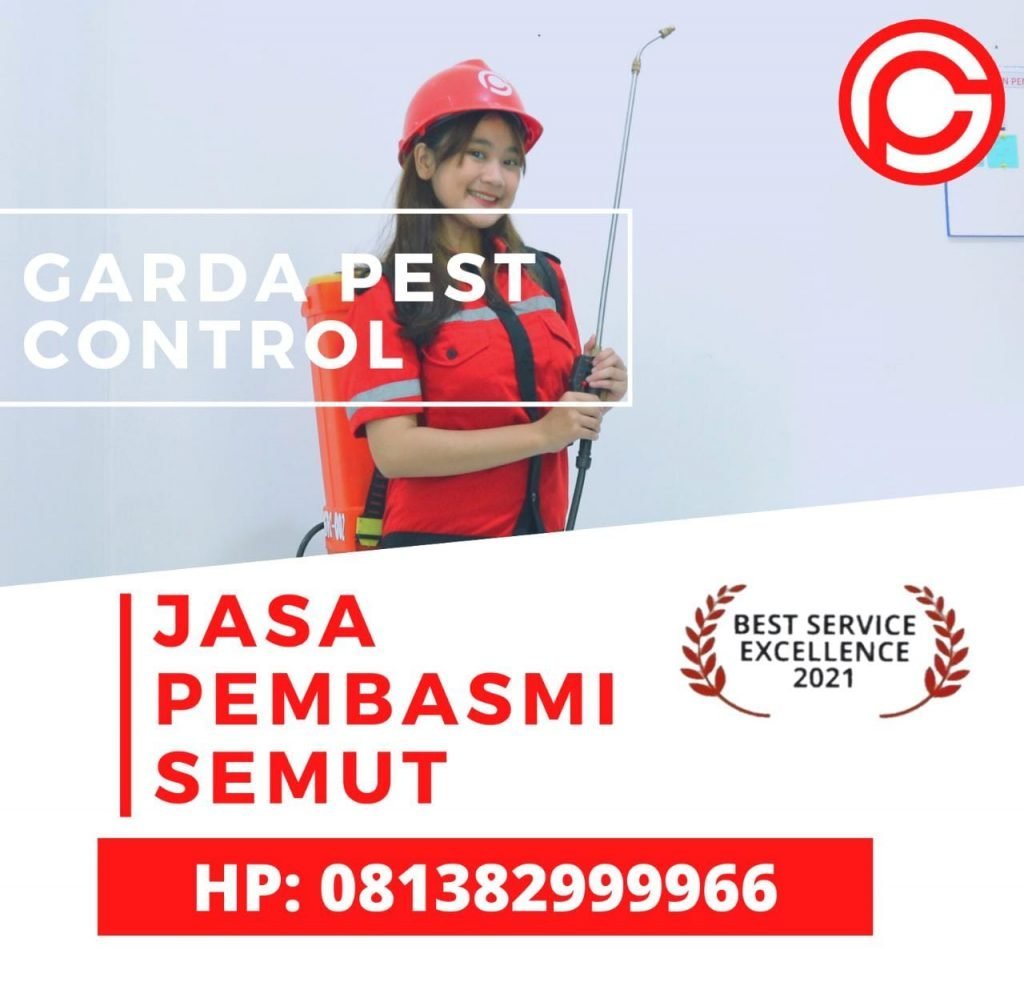 Jasa Pembasmi Semut Bekasi