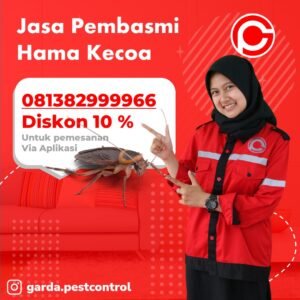 Jasa Pembasmi Kecoa Yogyakarta