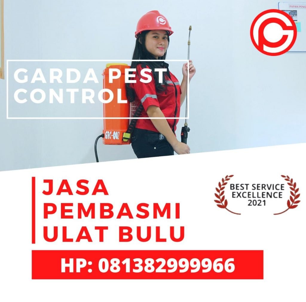 Jasa Pembasmi Ulat Bulu di Bandung