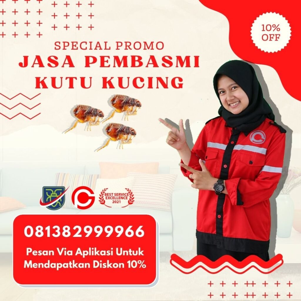 Jasa Pembasmi Kutu Loncat Bandung
