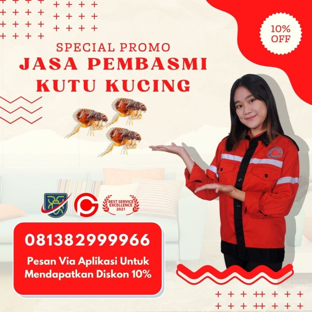 Harga Pembasmi Kutu Kucing