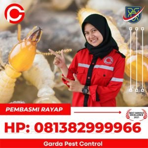 Harga Jasa Anti Rayap di Cianjur