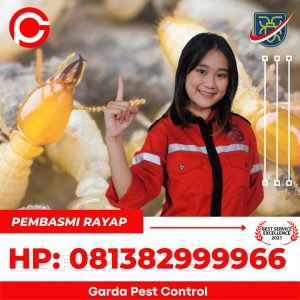 jasa Anti Rayap bsd di Bandung