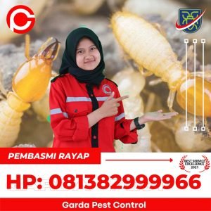 Anti Rayap kayu kering di Tangsel