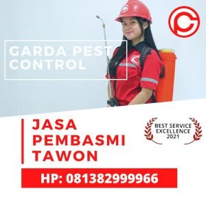 Jasa Pembasmi Tawon Vespa di Jogja