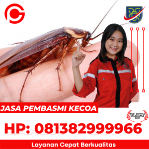 Jasa Pembasmi Kecoa di Tasikmalaya