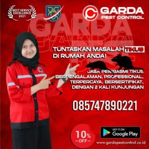Basmi Tikus Murah di Samosir