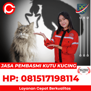 Semprot Kutu Kucing Depok