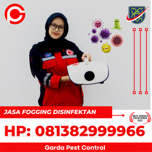 Fogging Disinfektan di Pati