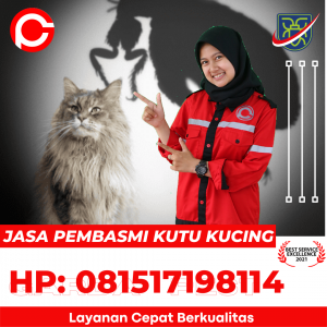 Jasa Basmi Kutu Kucing Tasik