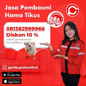 Jasa Pembasmi Tikus Makassar