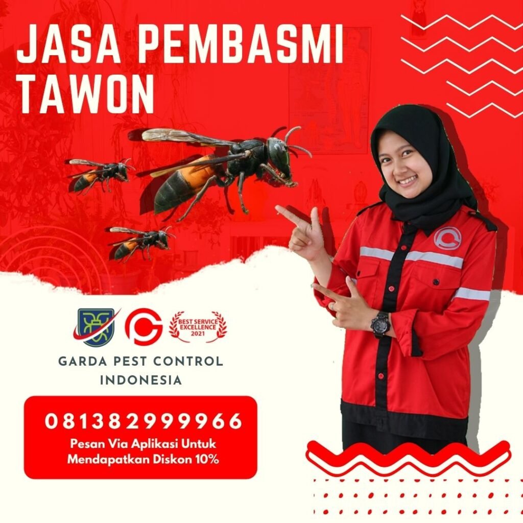 Jasa Pembasmi Tawon di Bekasi