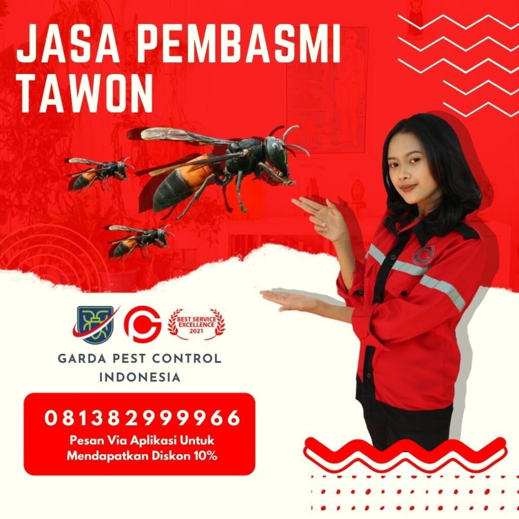 Jasa Pembasmi Tawon Bandung