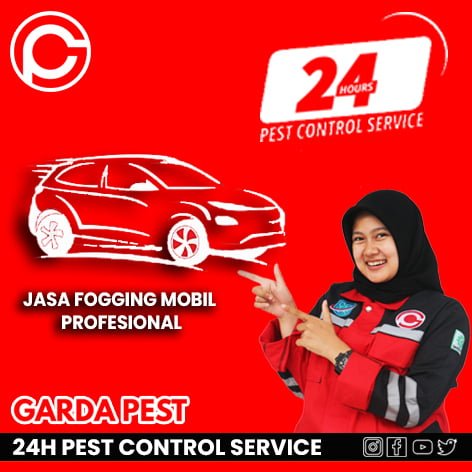 Jasa Fogging Mobil Bogor
