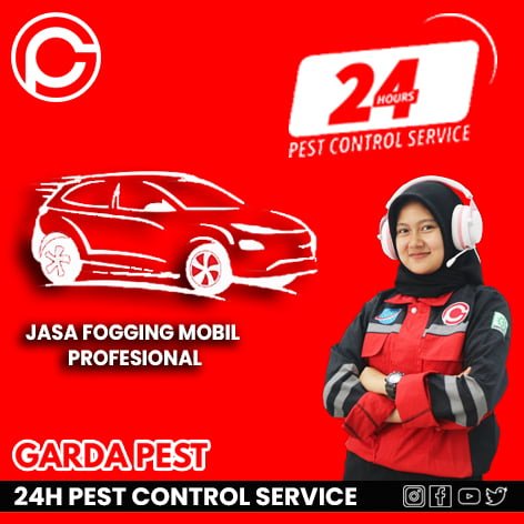 Jasa Fogging Mobil Magelang