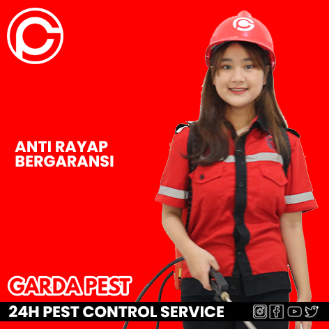 Pembasmi Rayap Jakarta Selatan
