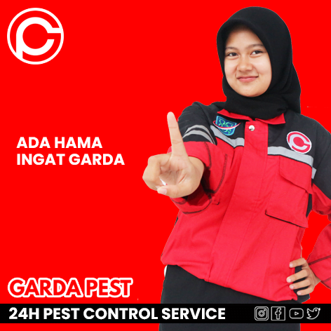 Harga Jasa Fogging Mobil Tasikmalaya