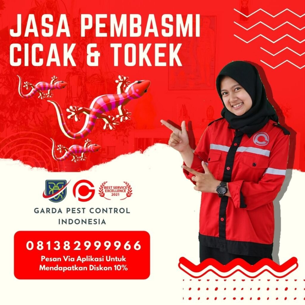 Jasa Pembasmi Tokek Jogja
