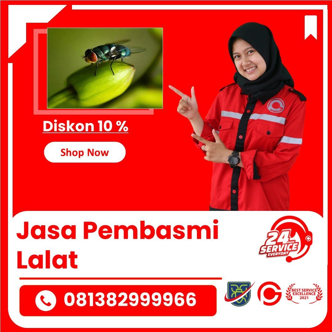 Jasa Pembasmi Lalat di Tangerang