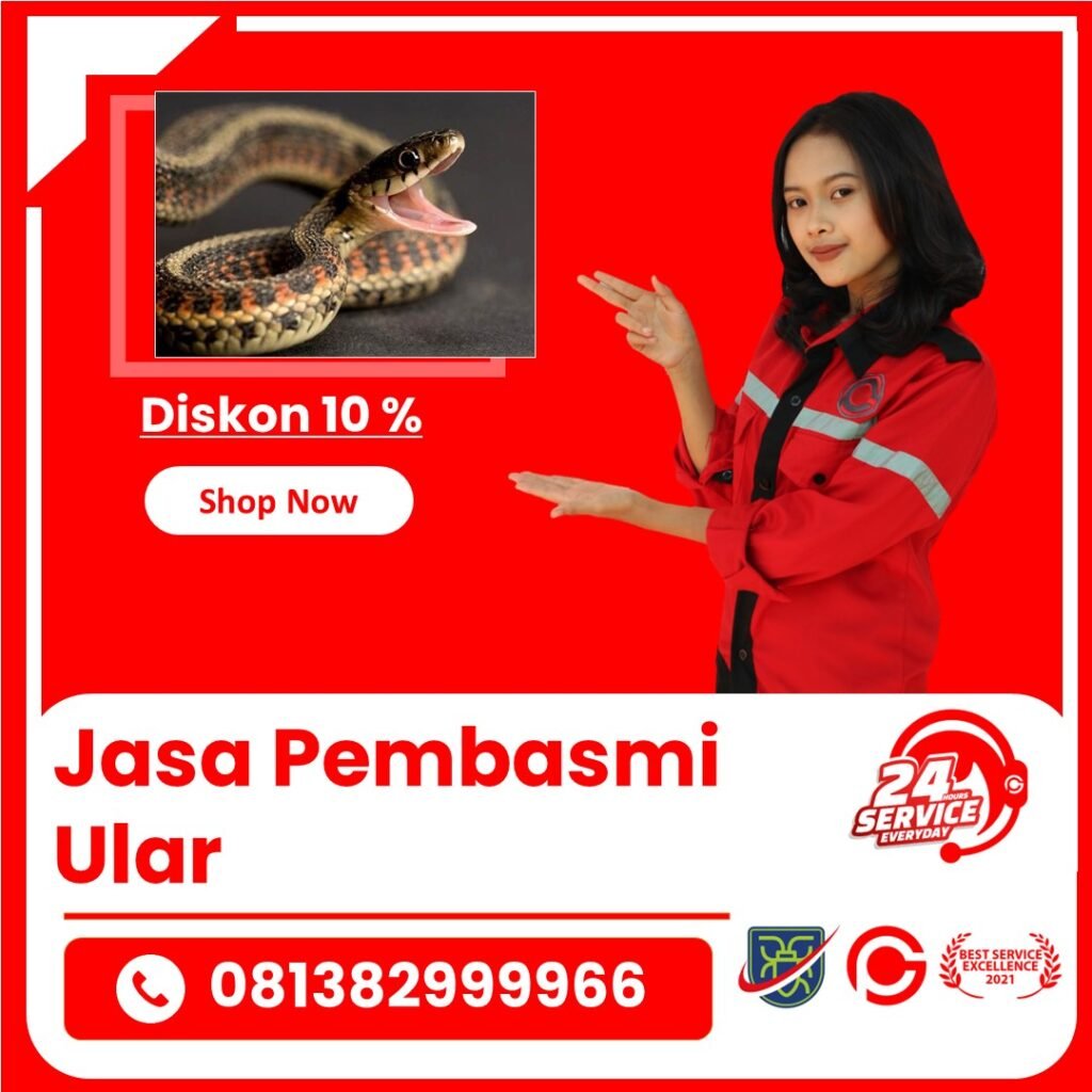 Jasa Pengusir Ular Bandung