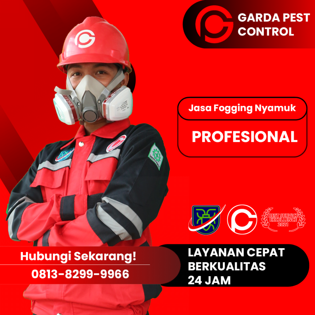 Jasa Fogging Profesional