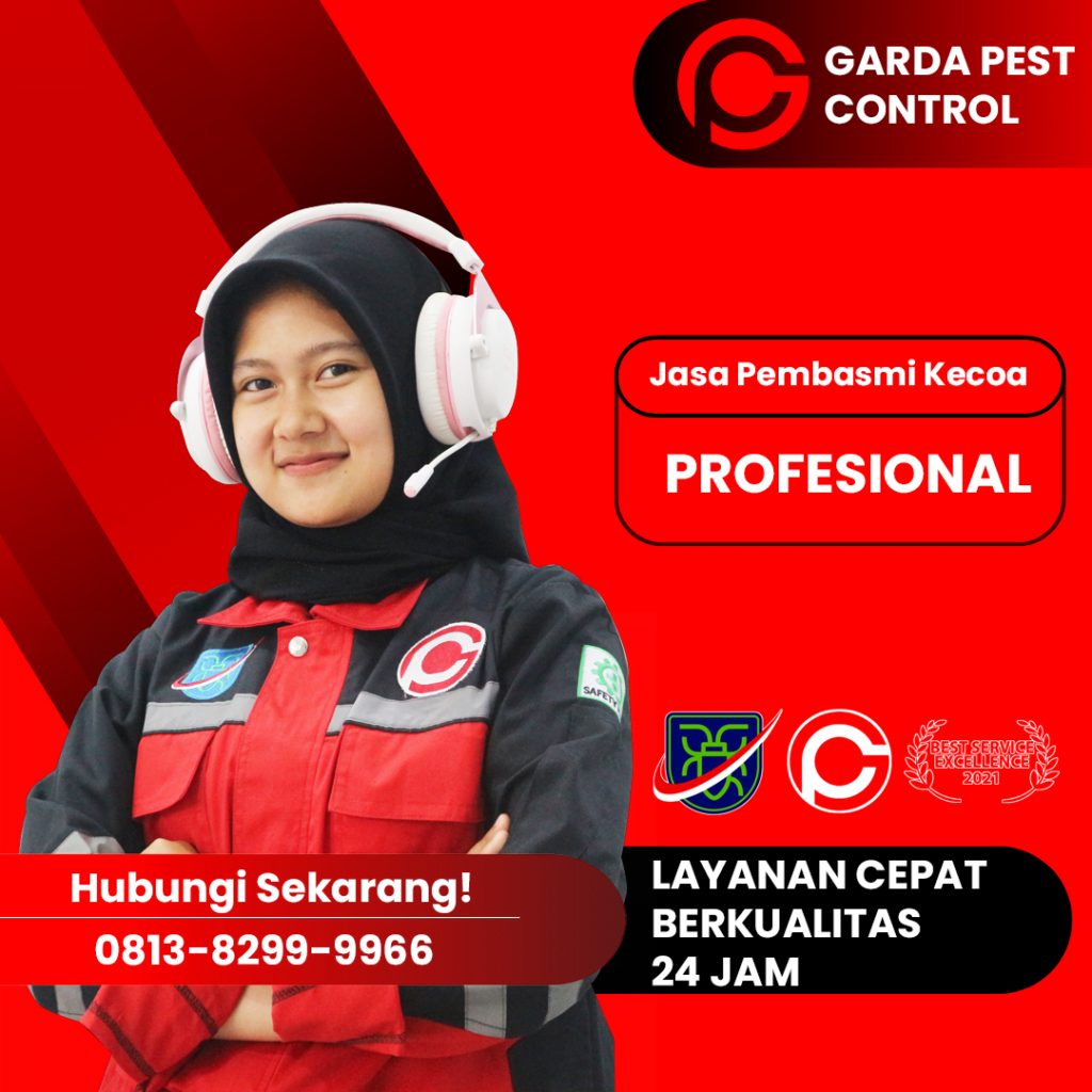 Jasa Pembasmi Kecoa Bali