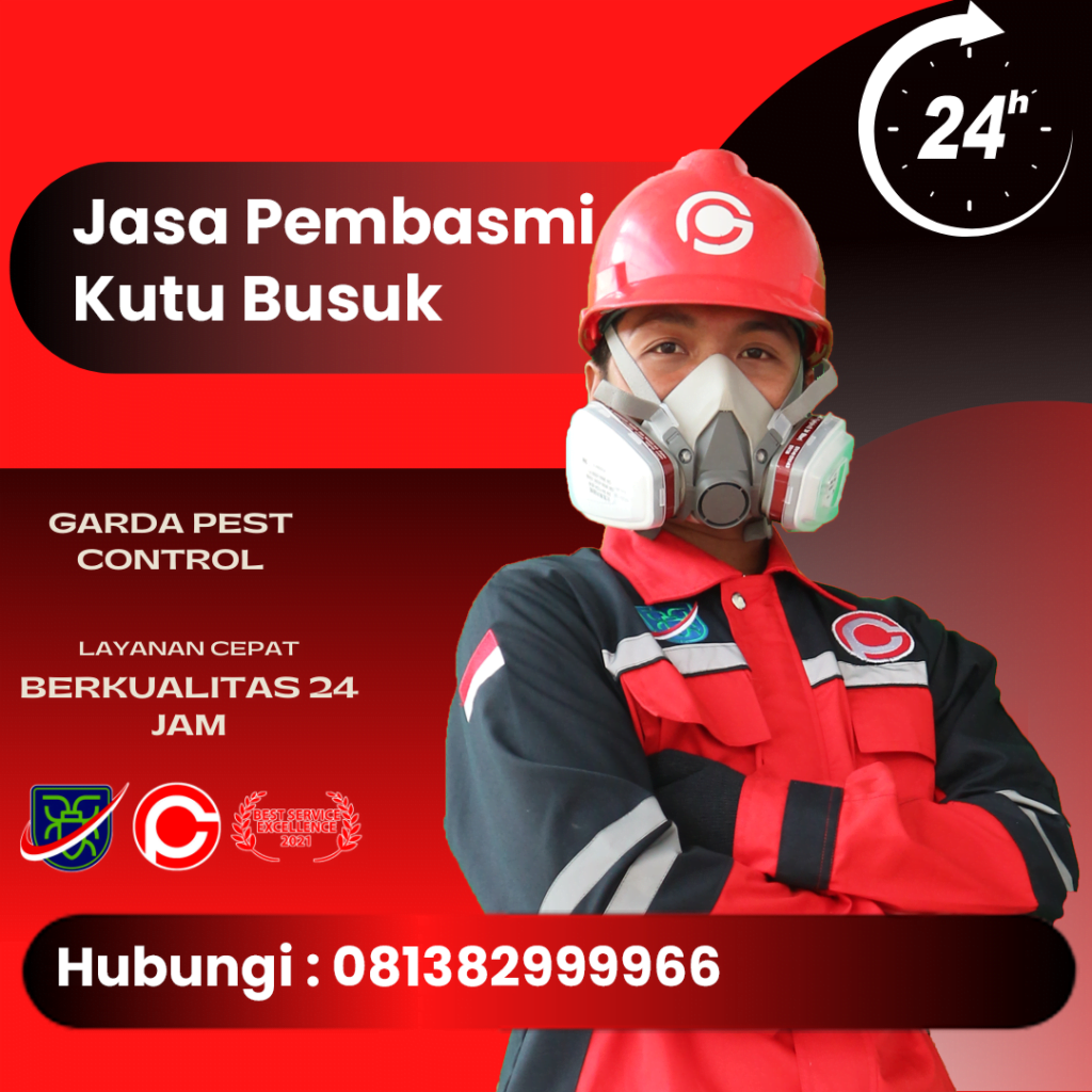 Jasa Pembasmi Kutu Busuk di Bali