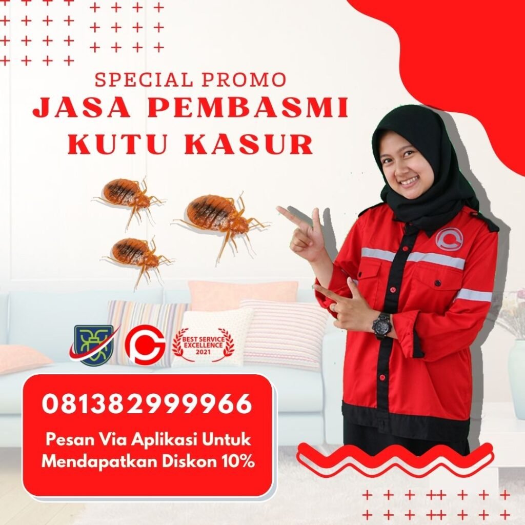 Harga Pembasmi Kutu Kasur