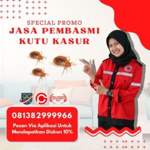 Jasa Pembasmi Tinggi di Tangerang 