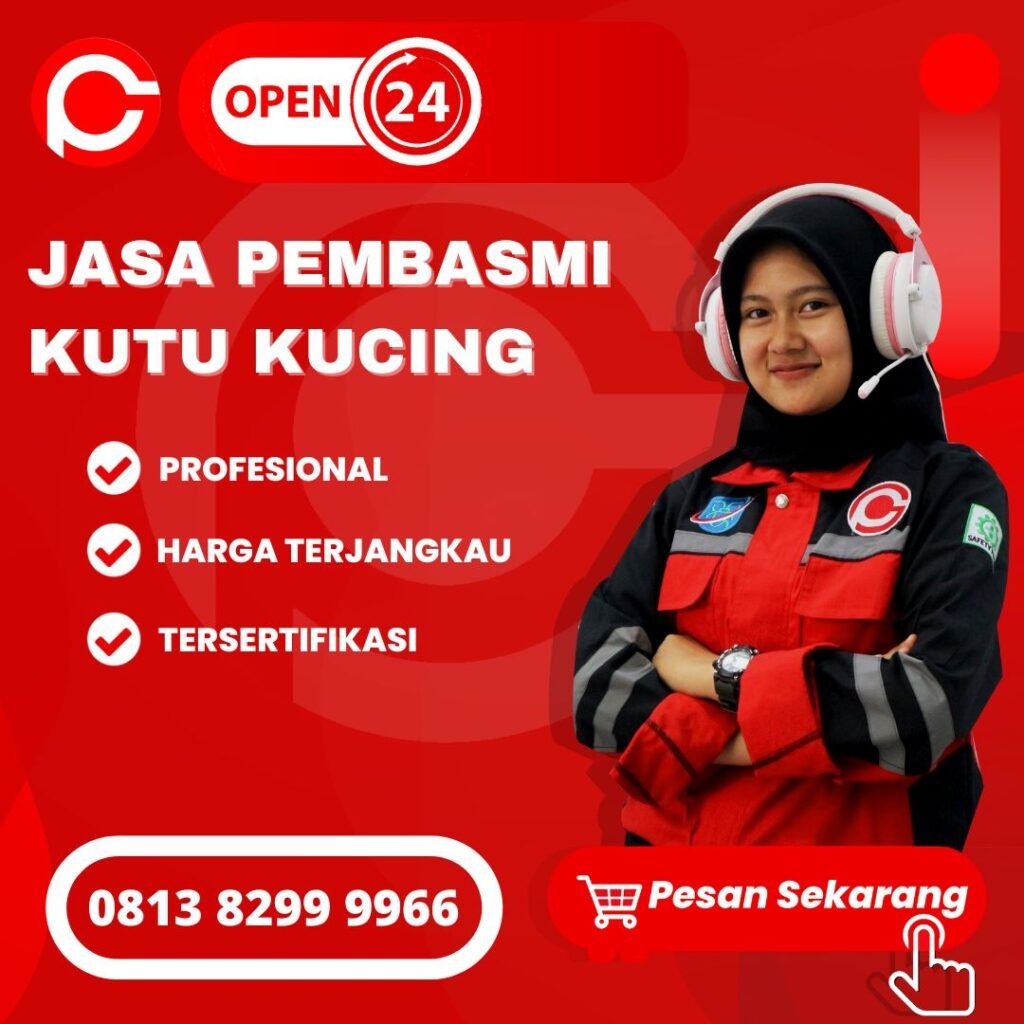 Jasa Pembasmi Kutu Kucing di Jogja