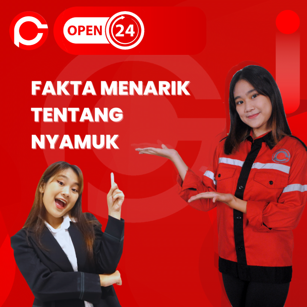 Fakta Menarik Tentang Nyamuk