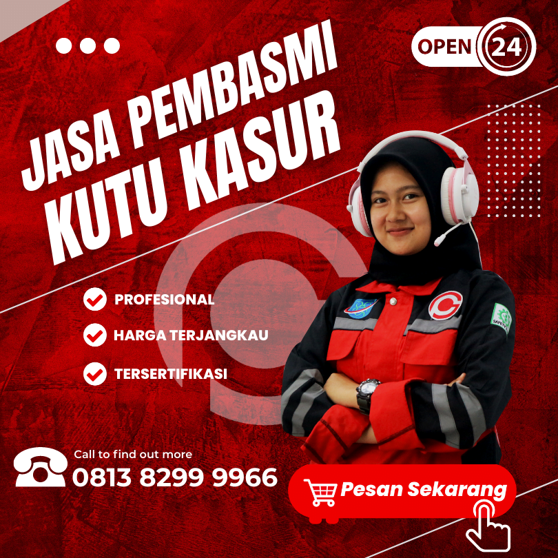 Jasa Basmi Kutu Kasur Murah