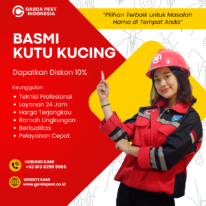 Jasa Fogging Kutu Kucing Bandung Profesional