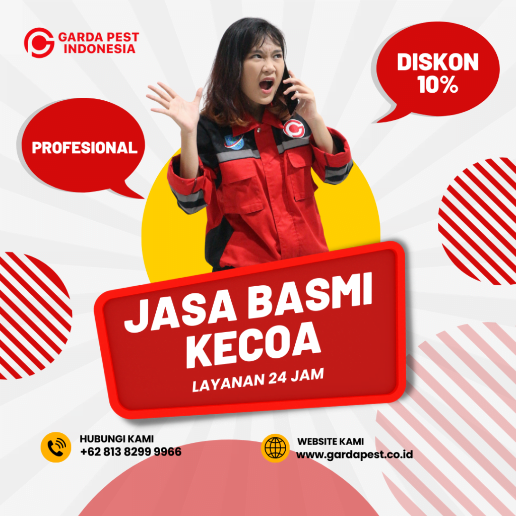 Jasa Basmi Kecoa di Jakarta