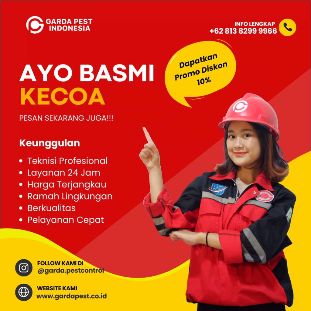 Jasa Basmi Kecoa di Jakarta
