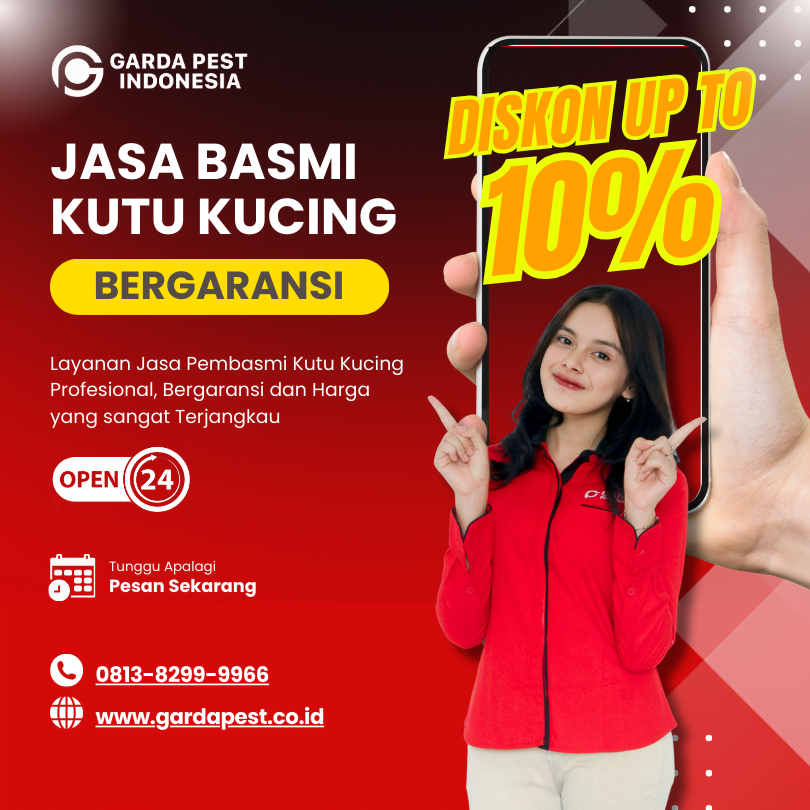 Layanan Jasa Pembasmi Kutu Kucing di Tangerang Selatan