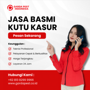 Jasa Pembasmi Kutu Busuk di Cimahi