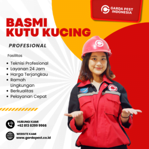 Jasa Fogging Kutu Kucing Bandung