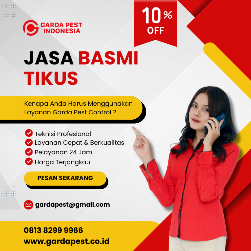 Jasa Pembasmi Tikus di Bali