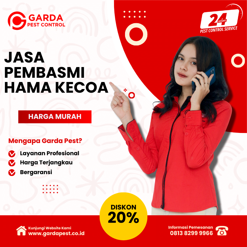 Jasa Pembasmi Kecoa di Jogja