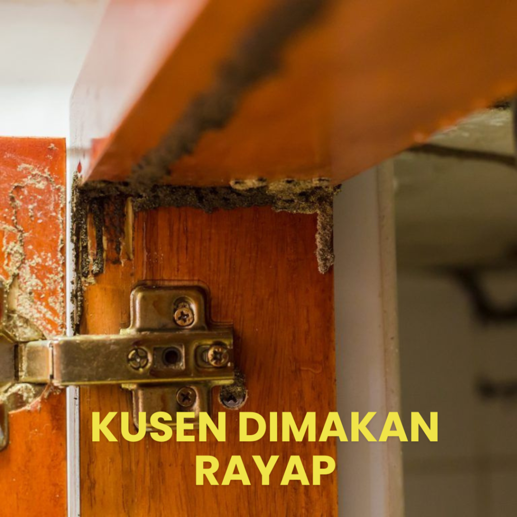 Jasa Anti Rayap Bekasi Bergaransi Kusen Pintu jendela dimakan rayap